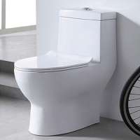 Best Flushing Space Saving Pressure Assist Toilet Bathroom Commode For Living Room